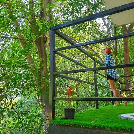 Shell House - Private Stay With Garden View In Arambol Mandrem Εξωτερικό φωτογραφία