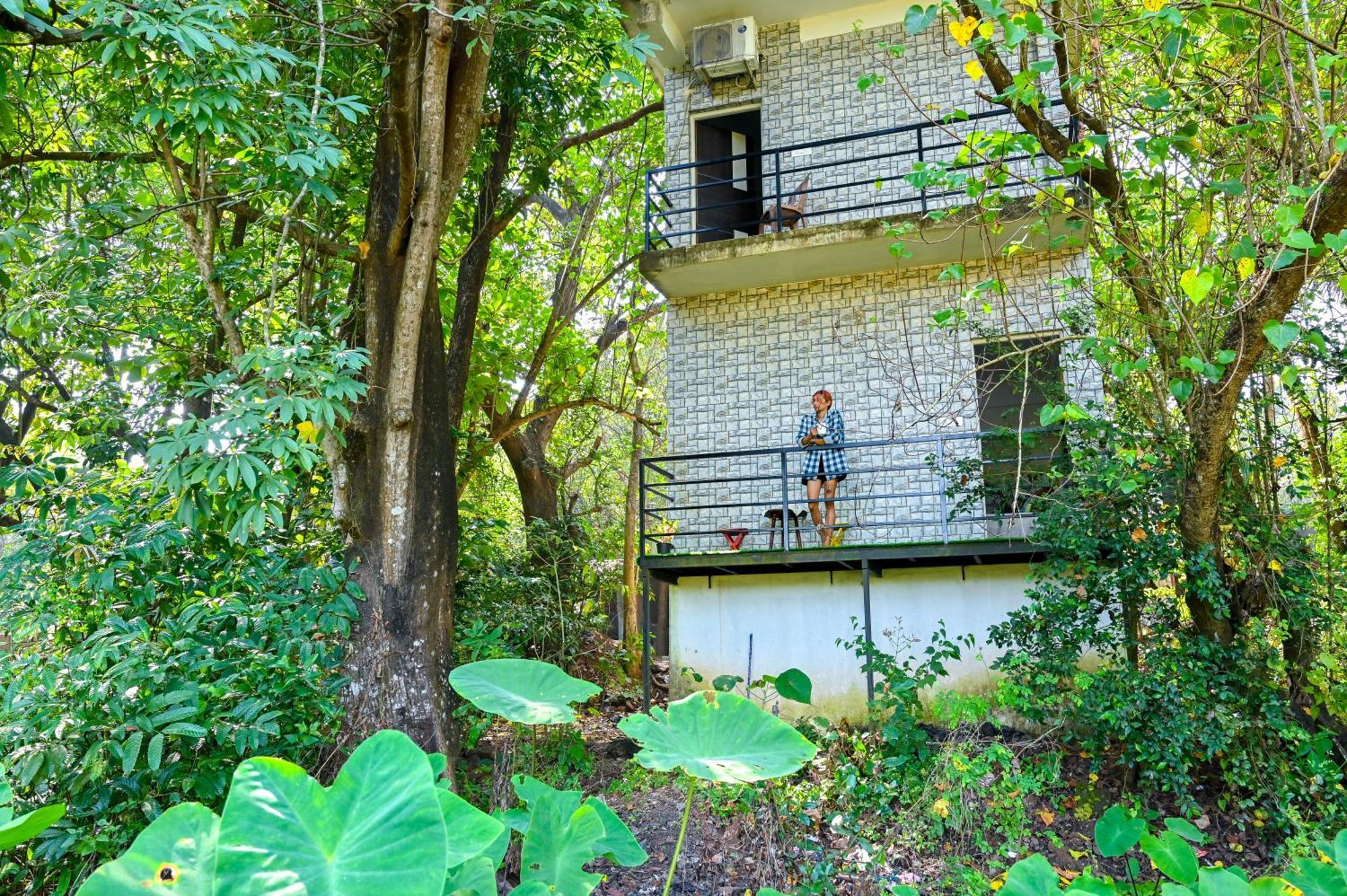 Shell House - Private Stay With Garden View In Arambol Mandrem Εξωτερικό φωτογραφία