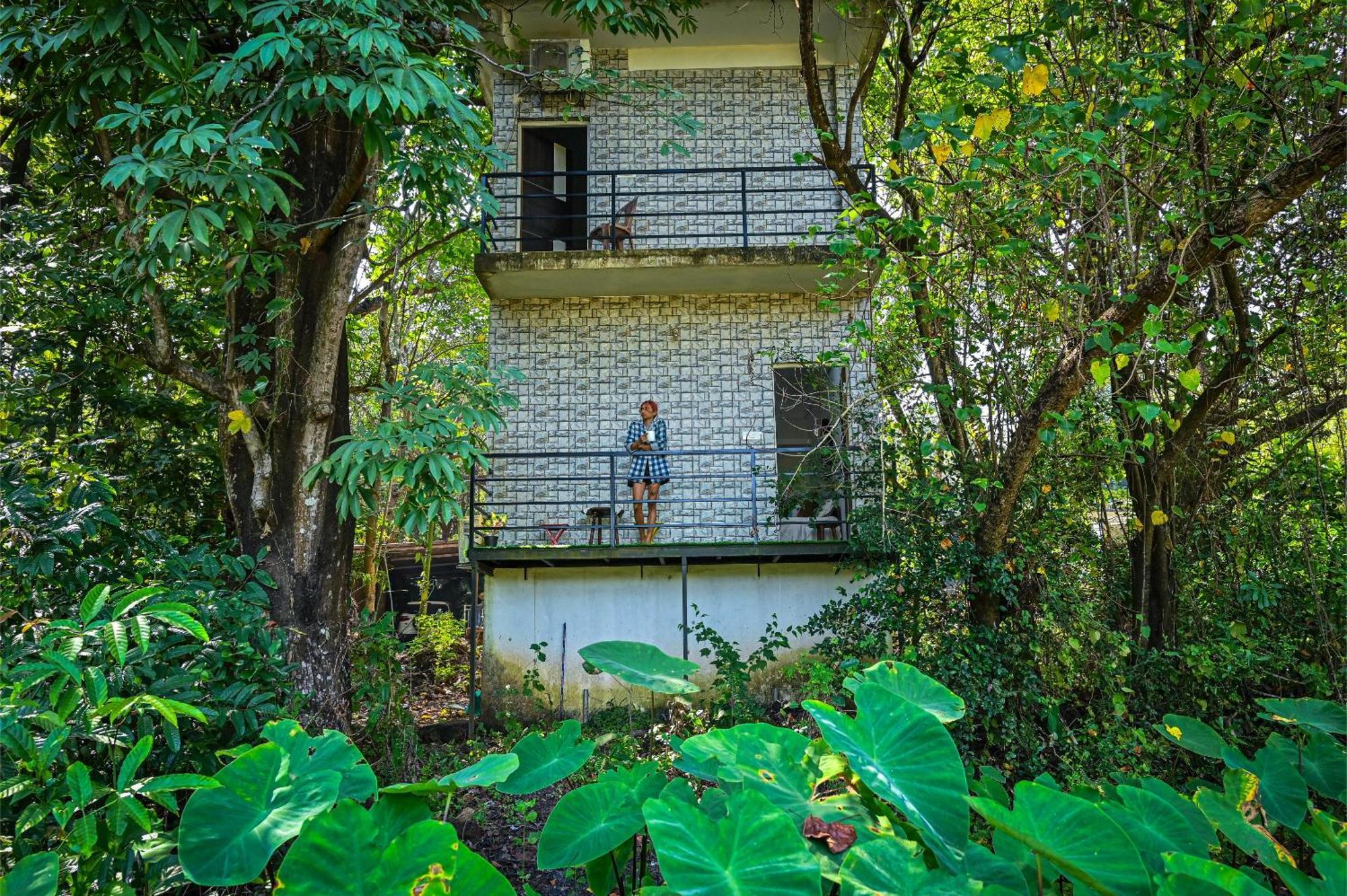 Shell House - Private Stay With Garden View In Arambol Mandrem Εξωτερικό φωτογραφία